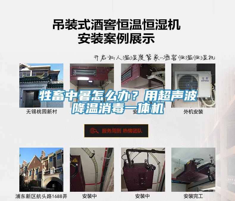 牲畜中暑怎么辦？用超聲波降溫消毒一體機(jī)