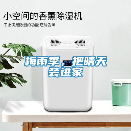 梅雨季，把晴天裝進家
