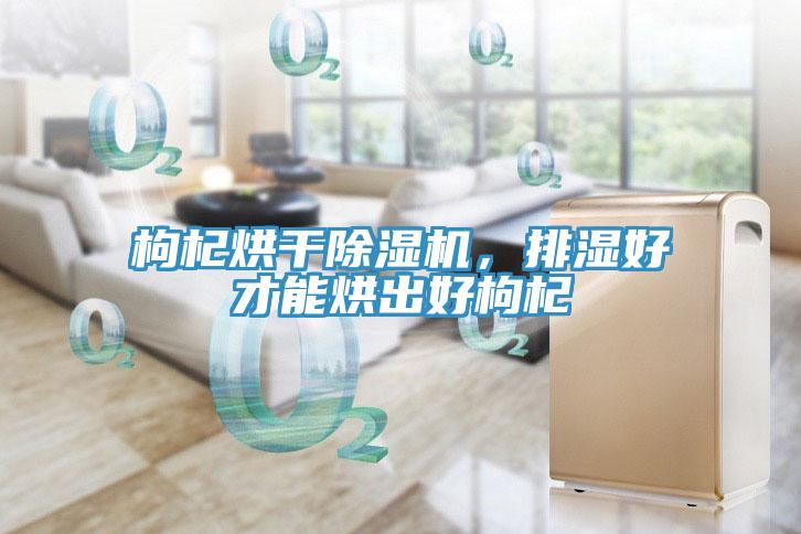 枸杞烘干除濕機，排濕好才能烘出好枸杞
