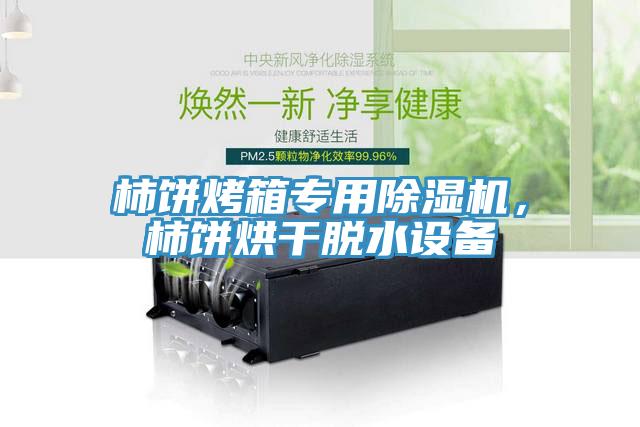 柿餅烤箱專用除濕機，柿餅烘干脫水設備