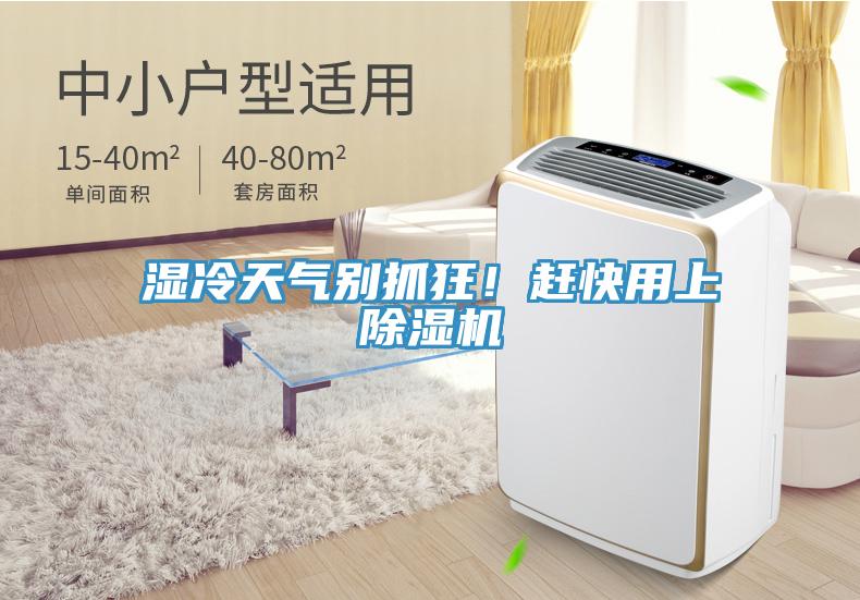 濕冷天氣別抓狂！趕快用上除濕機