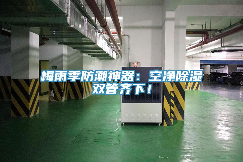 梅雨季防潮神器：空凈除濕雙管齊下！
