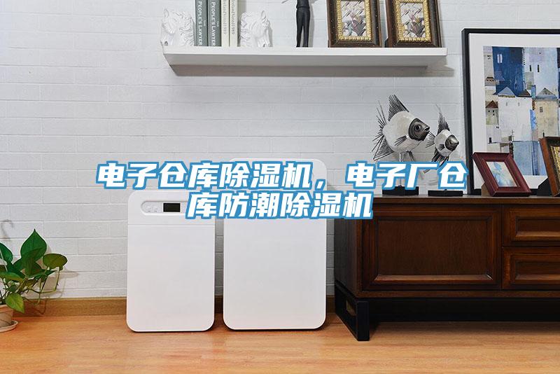 電子倉庫除濕機，電子廠倉庫防潮除濕機