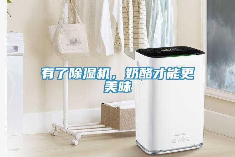 有了除濕機(jī)，奶酪才能更美味