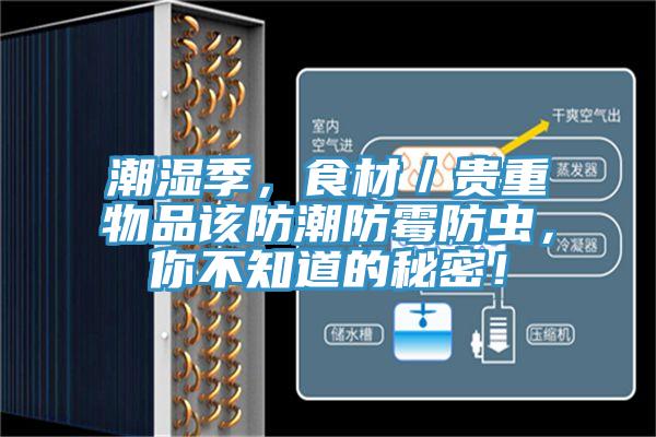 潮濕季，食材／貴重物品該防潮防霉防蟲(chóng)，你不知道的秘密！