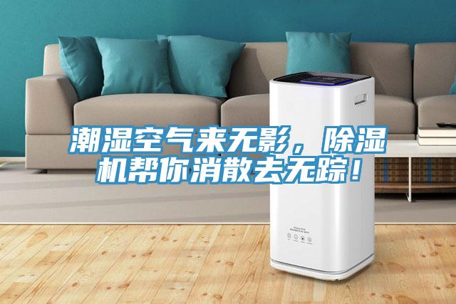 潮濕空氣來無影，除濕機幫你消散去無蹤！