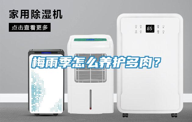 梅雨季怎么養(yǎng)護(hù)多肉？