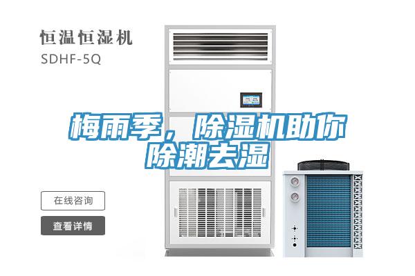 梅雨季，除濕機助你除潮去濕