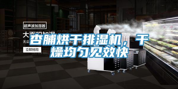杏脯烘干排濕機(jī)，干燥均勻見效快