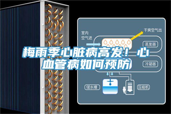梅雨季心臟病高發(fā)！心血管病如何預(yù)防