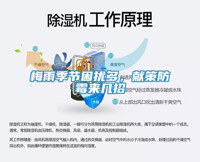 梅雨季節(jié)困擾多，獻(xiàn)策防霉來(lái)幾招