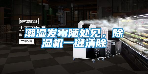 潮濕發(fā)霉隨處見，除濕機(jī)一鍵清除