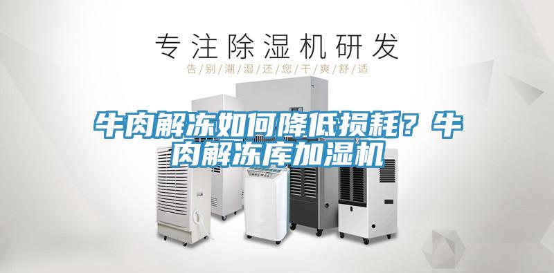 牛肉解凍如何降低損耗？牛肉解凍庫(kù)加濕機(jī)