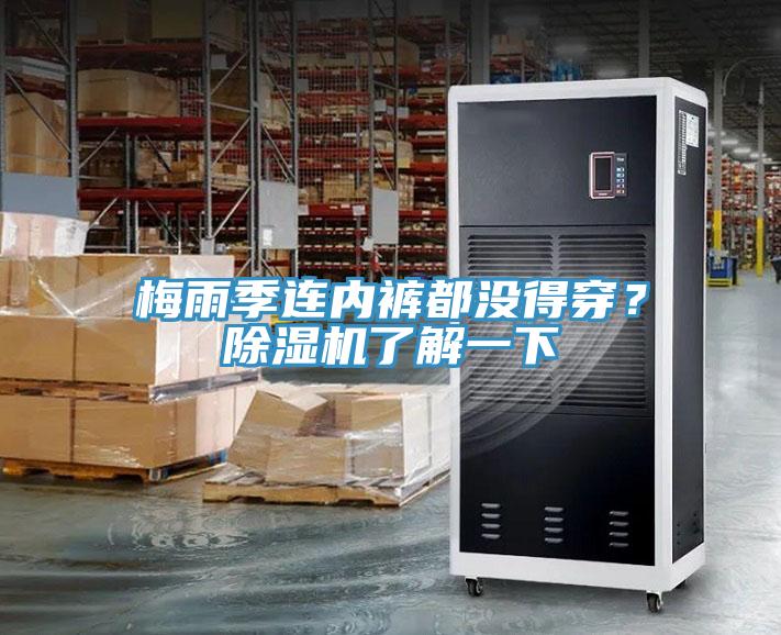 梅雨季連內(nèi)褲都沒得穿？除濕機了解一下