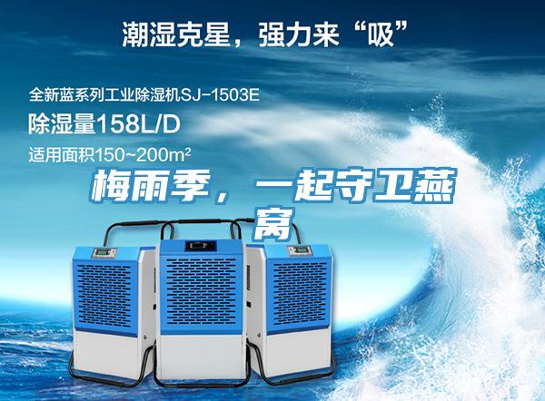 梅雨季，一起守衛(wèi)燕窩