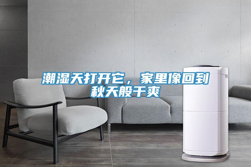 潮濕天打開它，家里像回到秋天般干爽