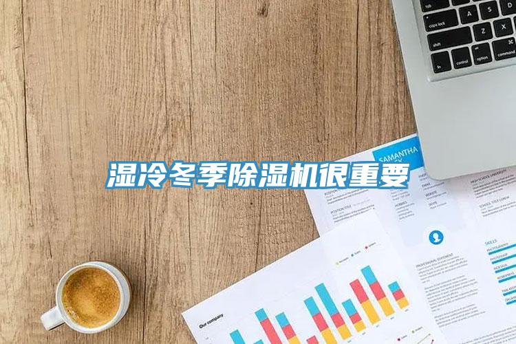 濕冷冬季除濕機(jī)很重要
