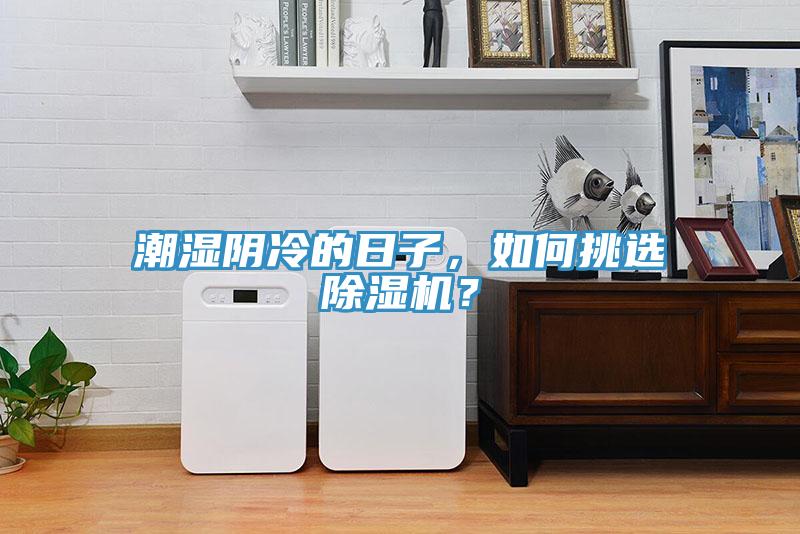 潮濕陰冷的日子，如何挑選除濕機(jī)？
