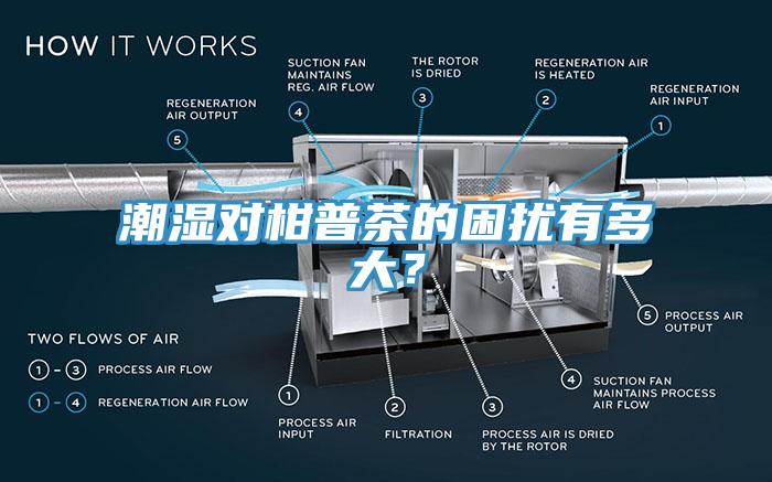 潮濕對(duì)柑普茶的困擾有多大？