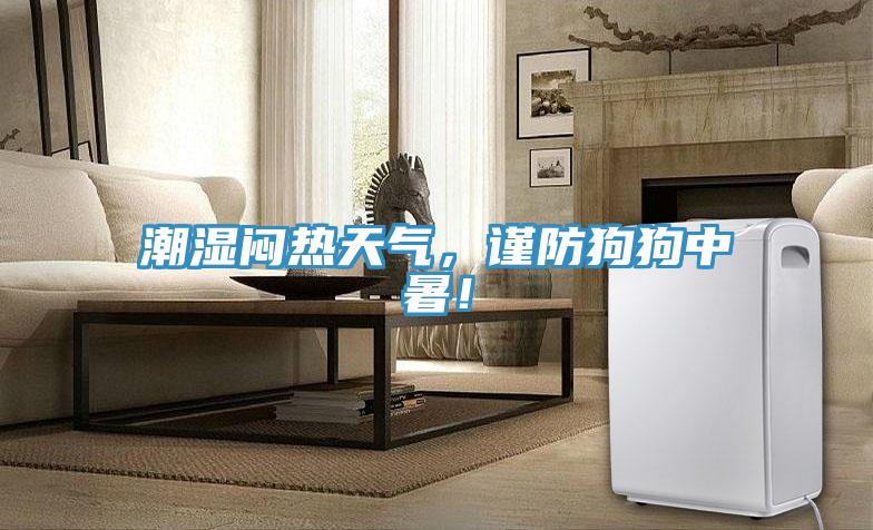 潮濕悶熱天氣，謹(jǐn)防狗狗中暑！