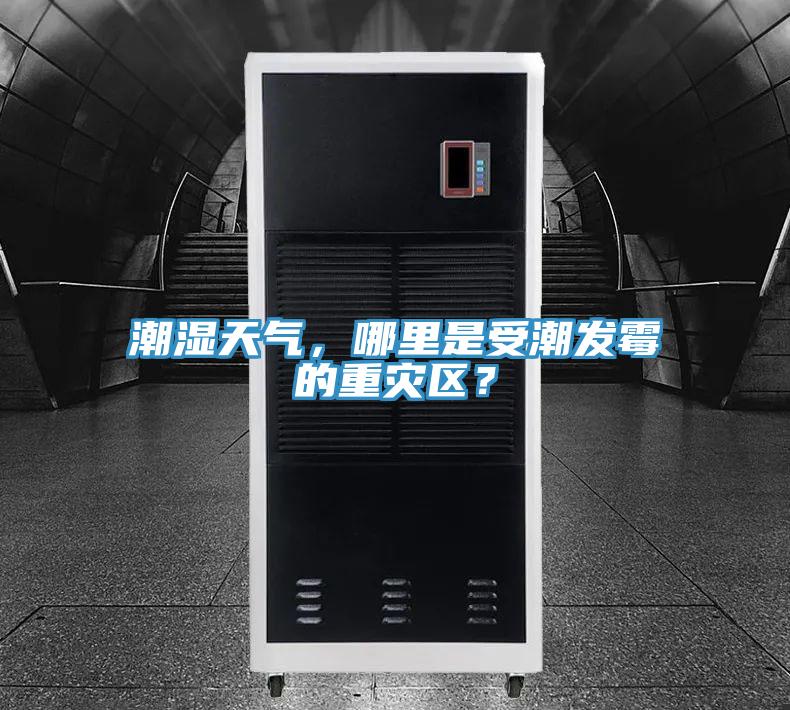 潮濕天氣，哪里是受潮發(fā)霉的重災(zāi)區(qū)？