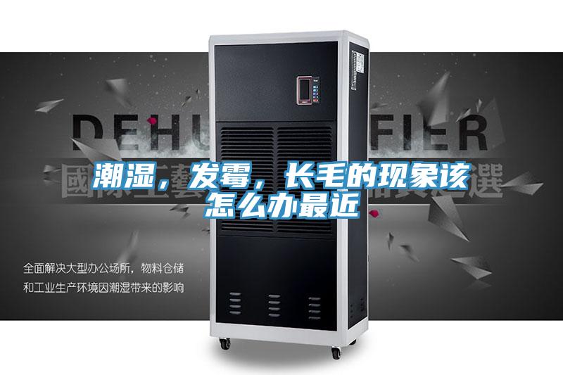 潮濕，發(fā)霉，長毛的現(xiàn)象該怎么辦最近