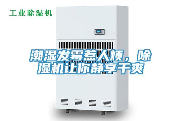 潮濕發(fā)霉惹人煩，除濕機(jī)讓你靜享干爽