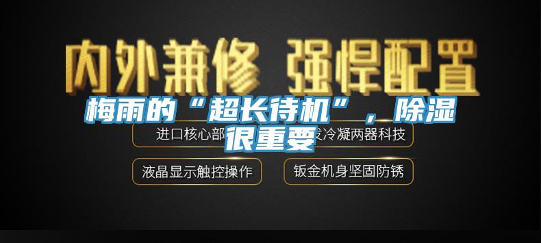 梅雨的“超長待機”，除濕很重要