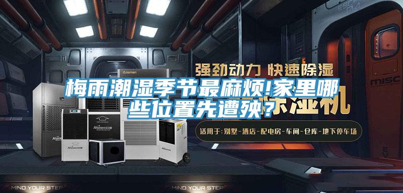 梅雨潮濕季節(jié)最麻煩!家里哪些位置先遭殃？