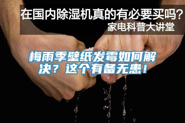 梅雨季壁紙發(fā)霉如何解決？這個(gè)有備無患！
