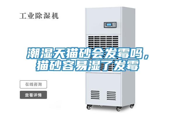 潮濕天貓砂會發(fā)霉嗎，貓砂容易濕了發(fā)霉