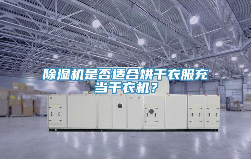 除濕機(jī)是否適合烘干衣服充當(dāng)干衣機(jī)？