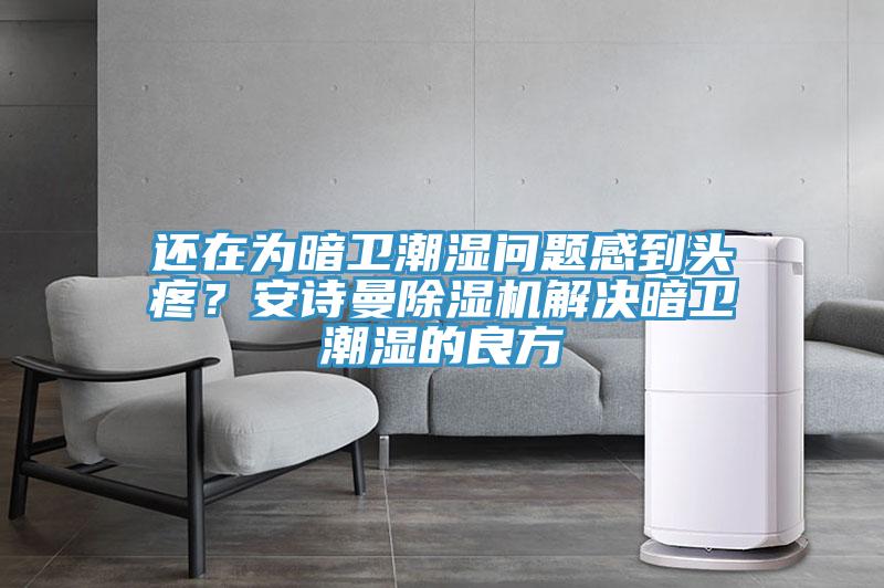 還在為暗衛(wèi)潮濕問題感到頭疼？安詩曼除濕機(jī)解決暗衛(wèi)潮濕的良方