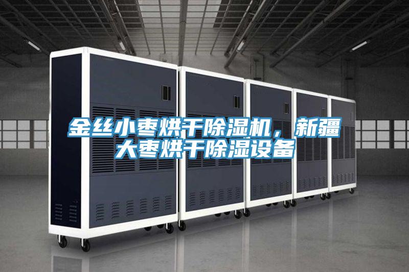 金絲小棗烘干除濕機，新疆大棗烘干除濕設(shè)備