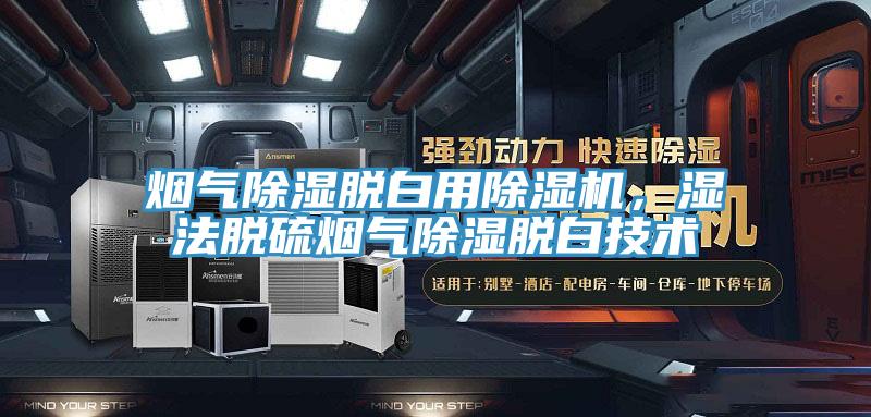 煙氣除濕脫白用除濕機，濕法脫硫煙氣除濕脫白技術(shù)