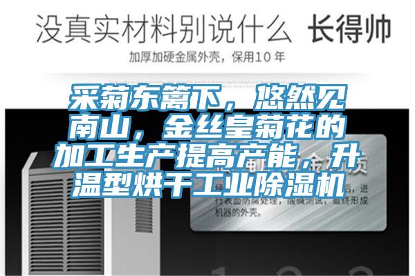 采菊東籬下，悠然見南山，金絲皇菊花的加工生產(chǎn)提高產(chǎn)能，升溫型烘干工業(yè)除濕機(jī)