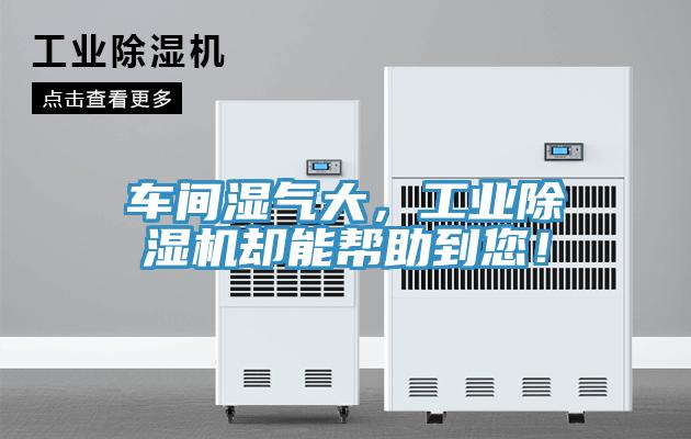 車間濕氣大，工業(yè)除濕機卻能幫助到您！