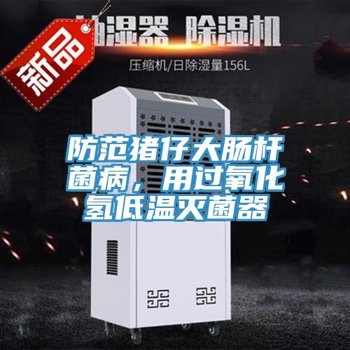 防范豬仔大腸桿菌病，用過氧化氫低溫滅菌器