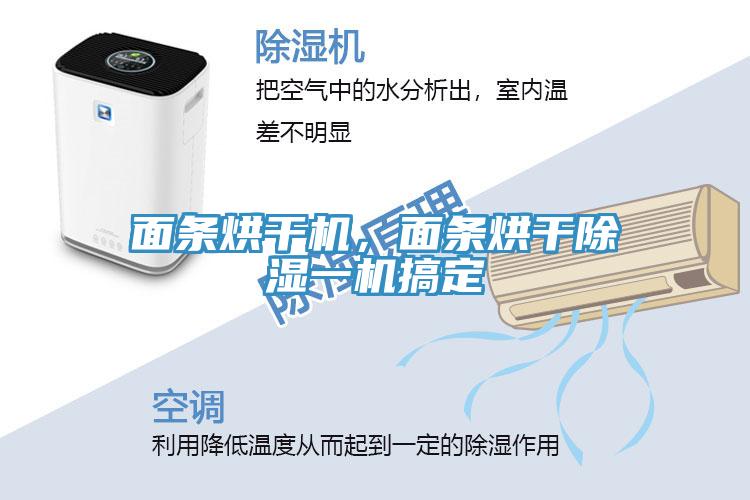 面條烘干機(jī)，面條烘干除濕一機(jī)搞定