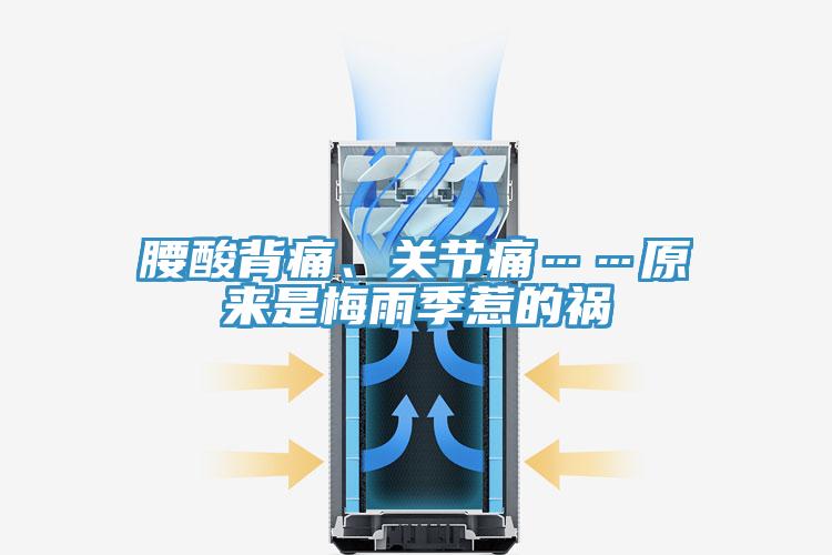 腰酸背痛、關(guān)節(jié)痛……原來是梅雨季惹的禍
