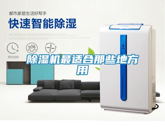 除濕機最適合那些地方用