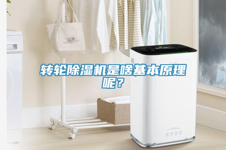 轉(zhuǎn)輪除濕機(jī)是啥基本原理呢？