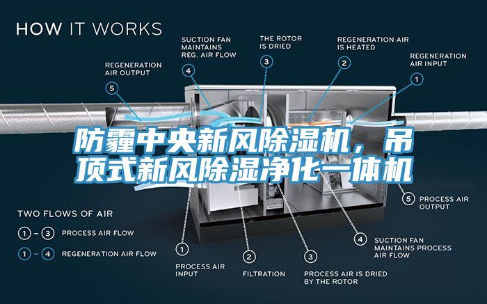 防霾中央新風(fēng)除濕機(jī)，吊頂式新風(fēng)除濕凈化一體機(jī)