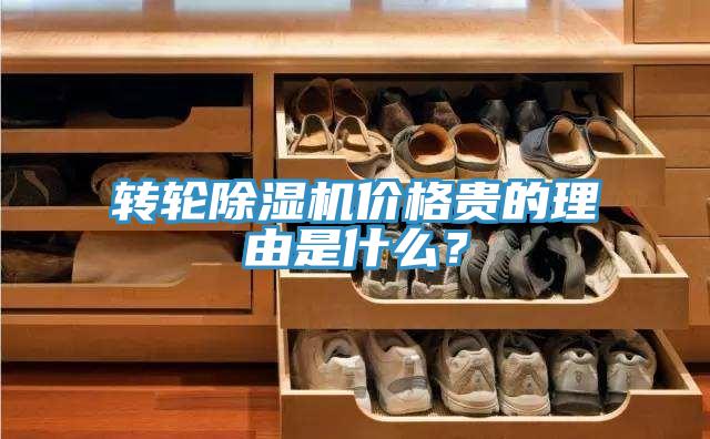 轉(zhuǎn)輪除濕機(jī)價(jià)格貴的理由是什么？