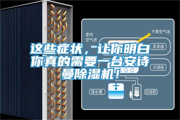 這些癥狀，讓你明白你真的需要一臺安詩曼除濕機(jī)！
