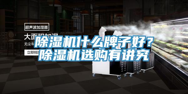 除濕機(jī)什么牌子好？除濕機(jī)選購(gòu)有講究