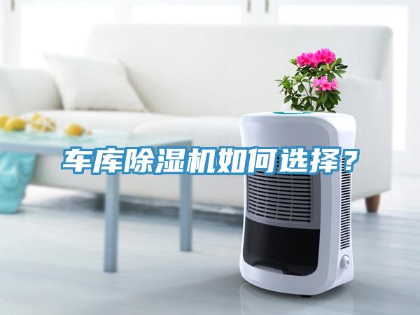 車(chē)庫(kù)除濕機(jī)如何選擇？