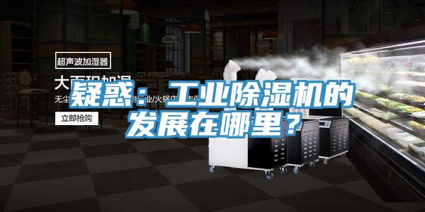 疑惑：工業(yè)除濕機的發(fā)展在哪里？