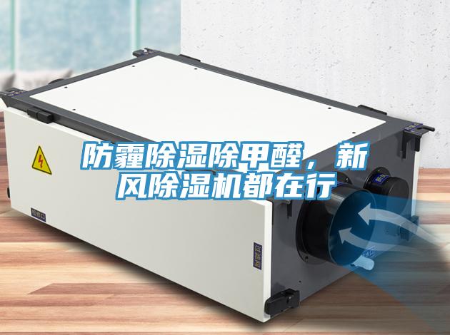 防霾除濕除甲醛，新風(fēng)除濕機(jī)都在行