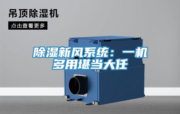 除濕新風系統(tǒng)：一機多用堪當大任